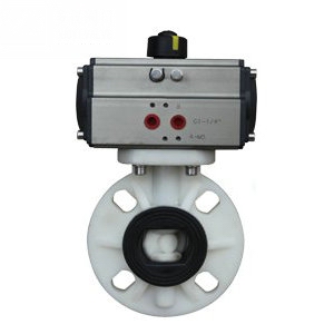 ��ӹP�P���y